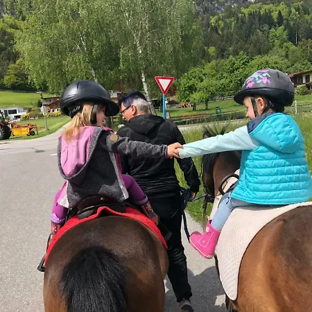 Farm stay Haflingerhof