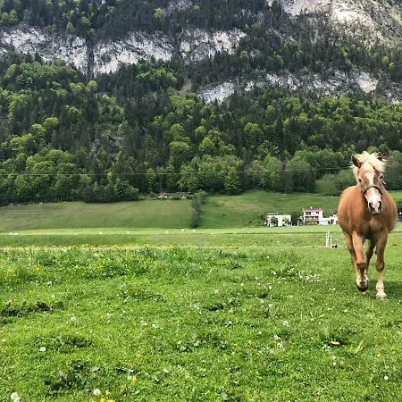 Κατάλυμα σε φάρμα Haflingerhof *
