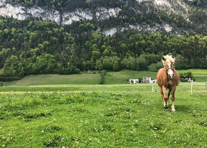 Alojamento de Turismo Rural Haflingerhof *